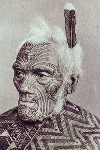 毛利战士与莫科面对